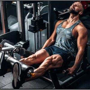 Muscle Building / Bulking